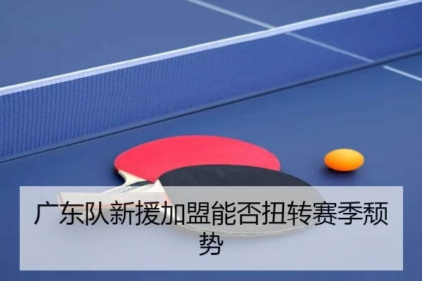 广东队新援加盟能否扭转赛季颓势